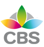 CBS Formation